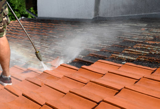 Best Pressure Washing Services Near Me  in USA